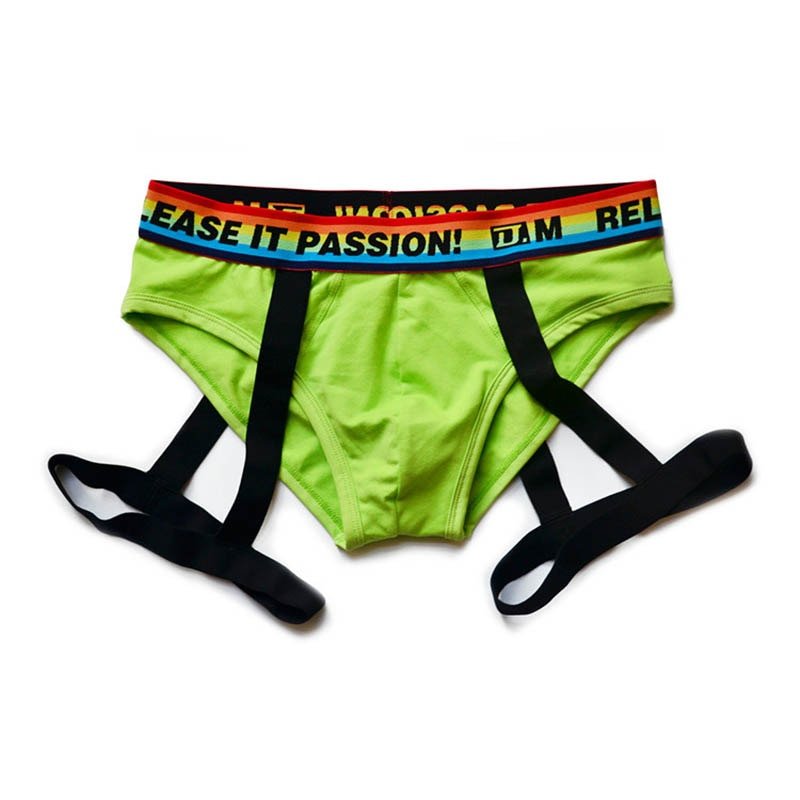 ORVLS DM Rainbow Passion Garter Briefs | dmunderwear detail image 6