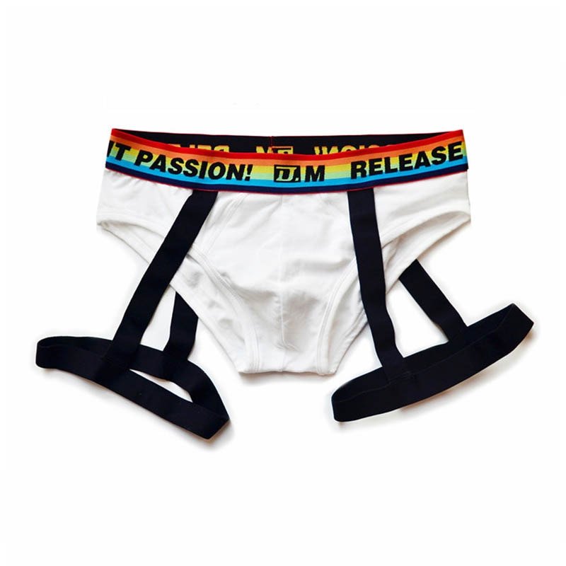 DM Rainbow Passion Garter Briefs | dmunderwear