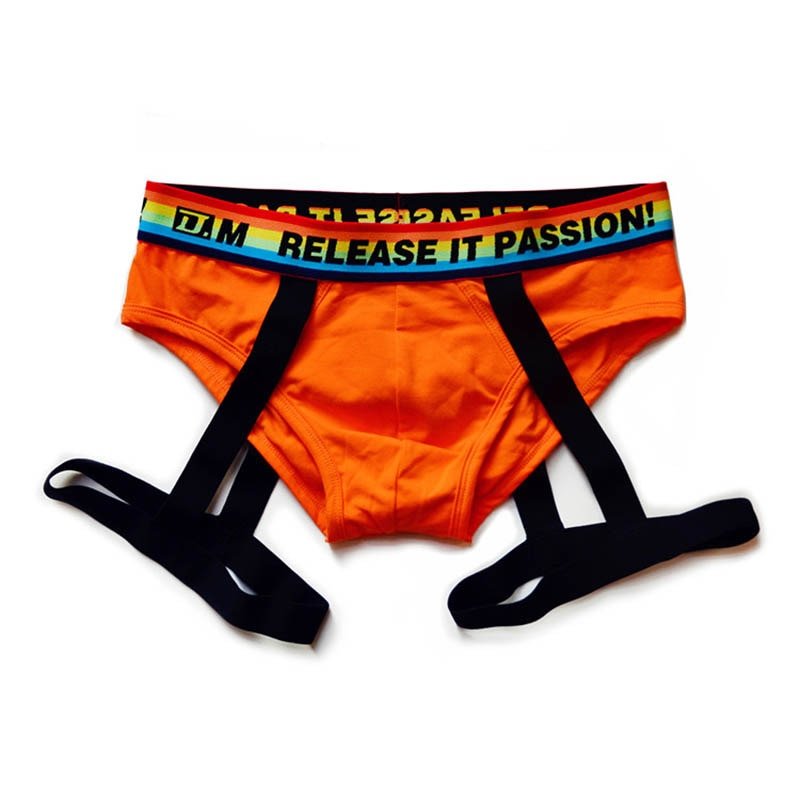 DM Rainbow Passion Garter Briefs | dmunderwear detail image 5