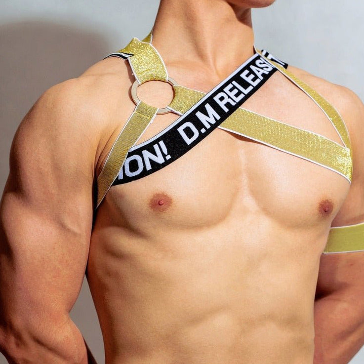 DM Release Shimmer Cross Harness | dmunderwear
