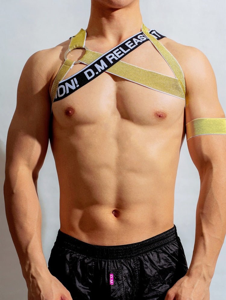DM Release Shimmer Cross Harness | dmunderwear detail image 5