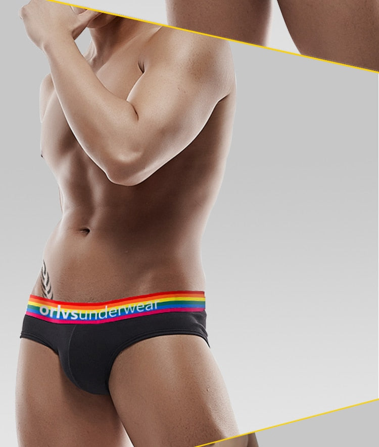 Pride Briefs | dmunderwear detail image 10