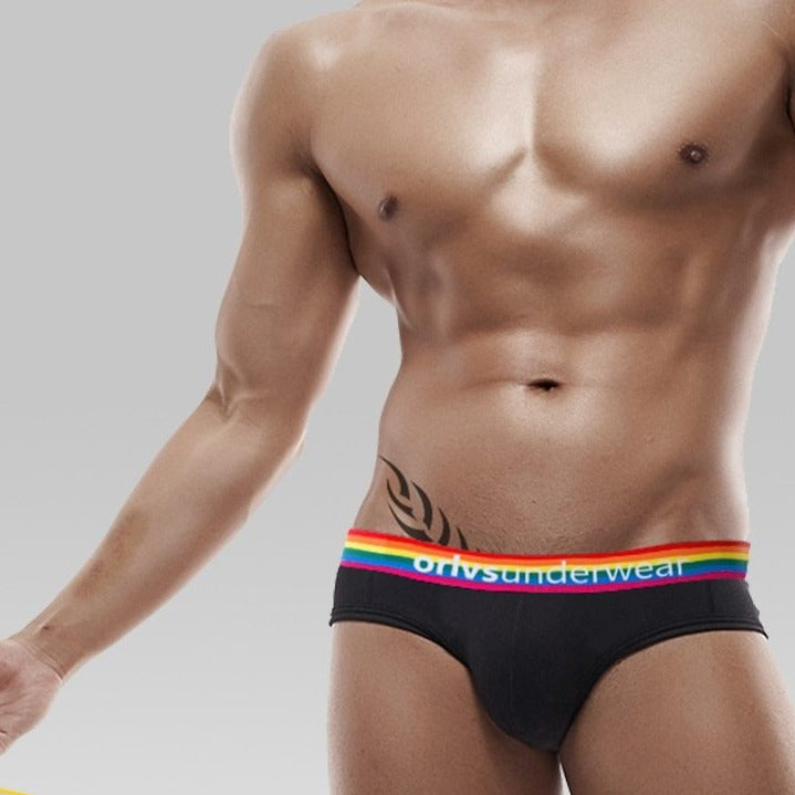 Pride Briefs | dmunderwear detail image 11