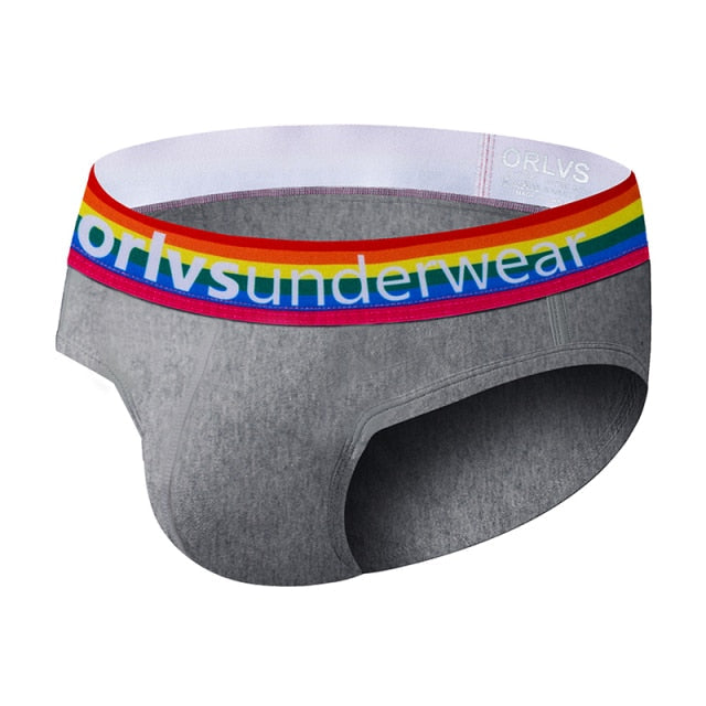 Pride Briefs | dmunderwear detail image 12