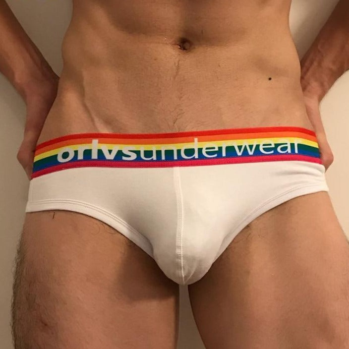 Pride Briefs | dmunderwear detail image 13