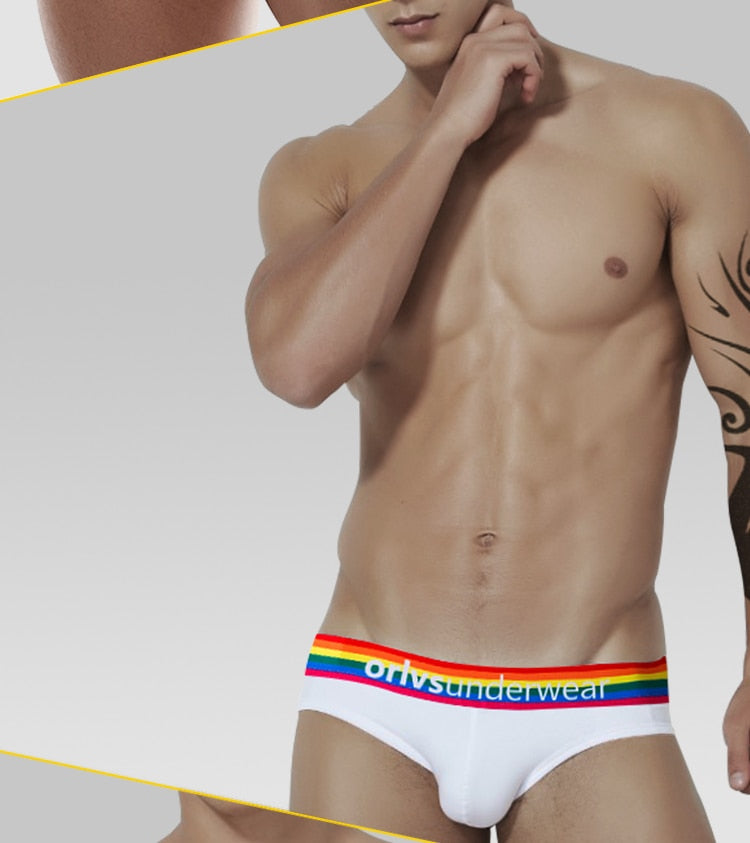 Pride Briefs | dmunderwear detail image 14