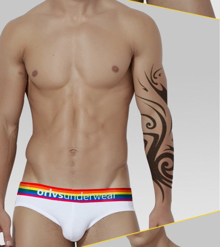 Pride Briefs | dmunderwear detail image 15