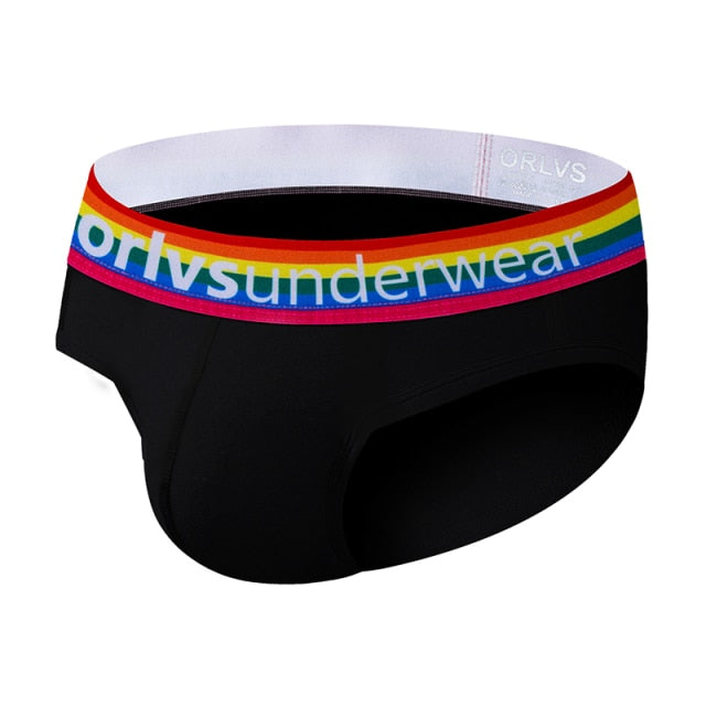Pride Briefs | dmunderwear detail image 2