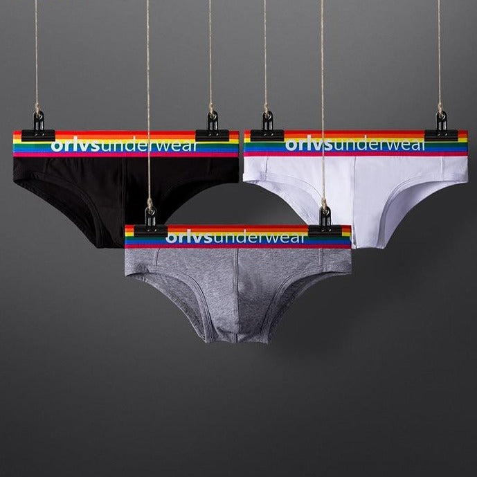 Pride Briefs | dmunderwear detail image 4