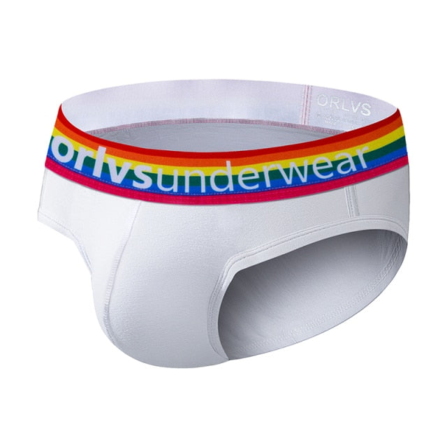 Pride Briefs | dmunderwear detail image 7