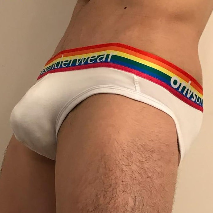 Pride Briefs | dmunderwear detail image 8