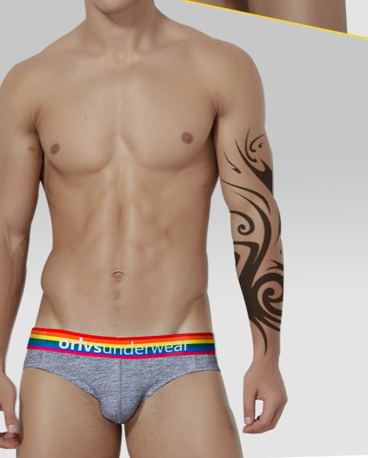 Pride Briefs | dmunderwear detail image 9