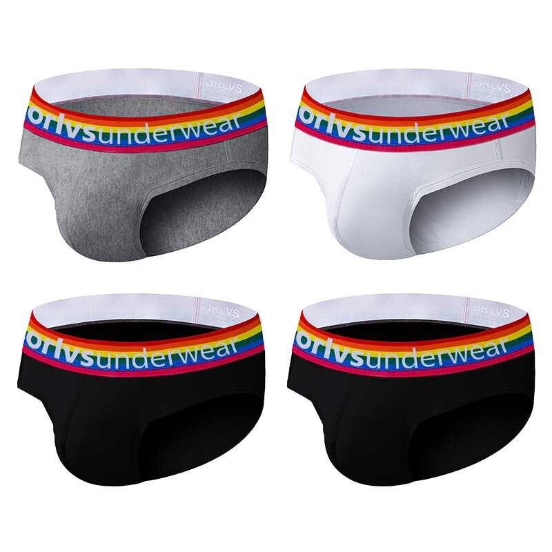 Pride Briefs (4 Pack) | dmunderwear