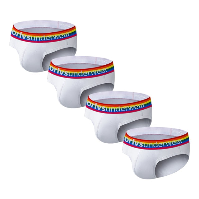 Pride Briefs (4 Pack) | dmunderwear detail image 2