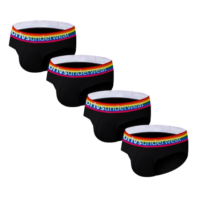 Pride Briefs (4 Pack) | dmunderwear detail image 5