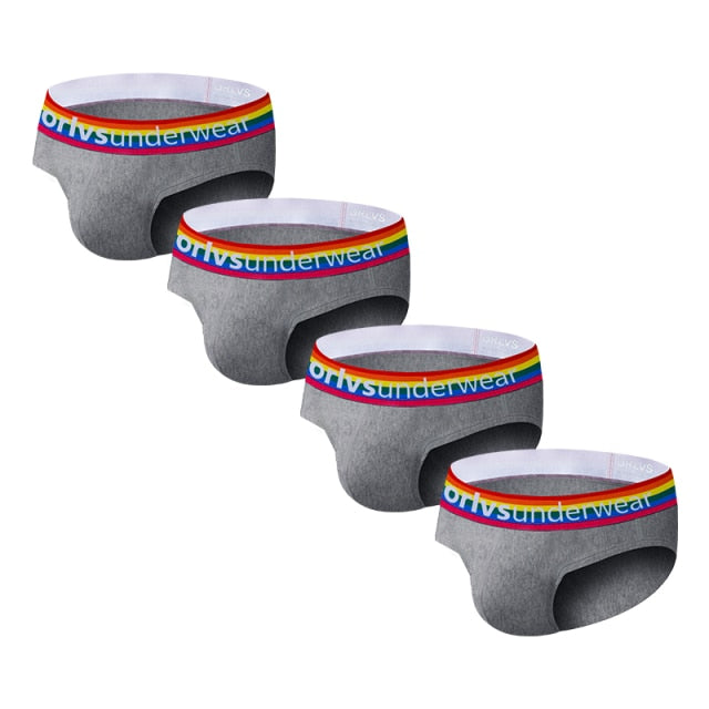 Pride Briefs (4 Pack) | dmunderwear detail image 6
