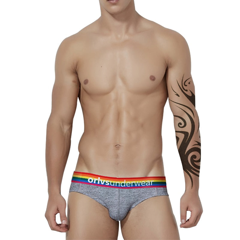 Pride Briefs (4 Pack) | dmunderwear detail image 9