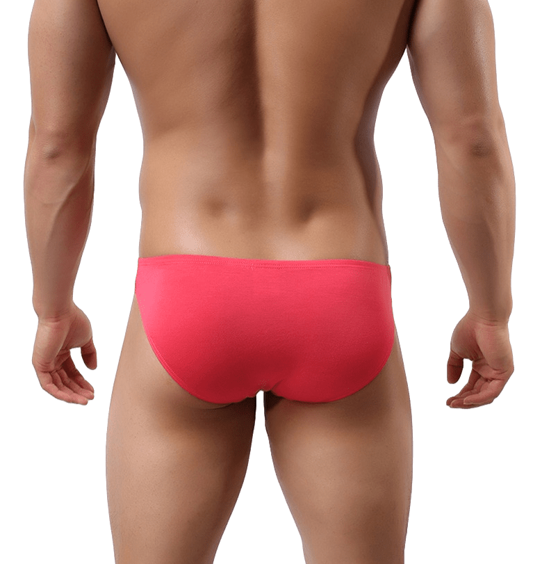 Essential Modal Bikini Briefs | dmunderwear detail image 13