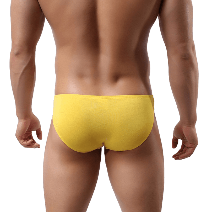 Essential Modal Bikini Briefs | dmunderwear detail image 2