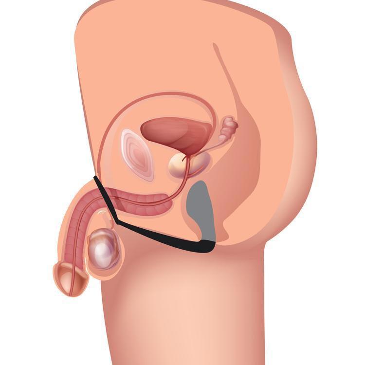 Explorer II Prostate Stimulator and Cock Ring | dmunderwear detail image 8