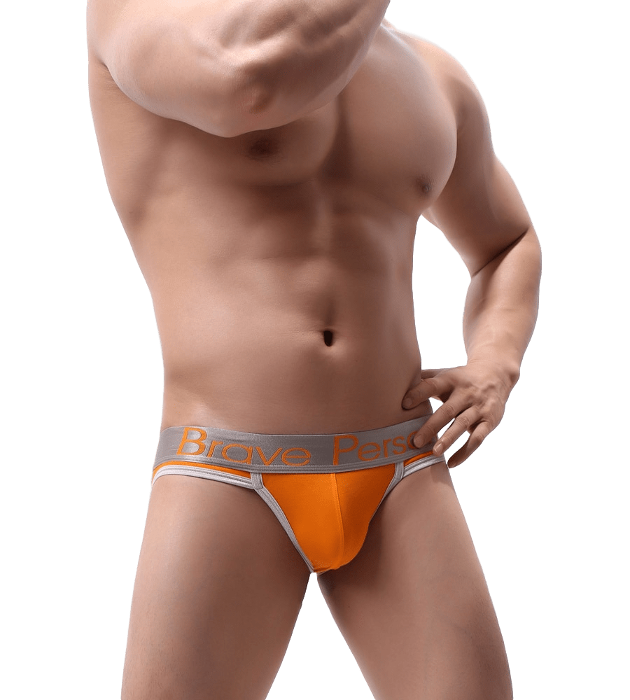 Showstopper Trimmed Briefs | dmunderwear detail image 12