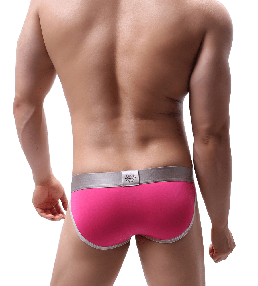 Showstopper Trimmed Briefs | dmunderwear detail image 6