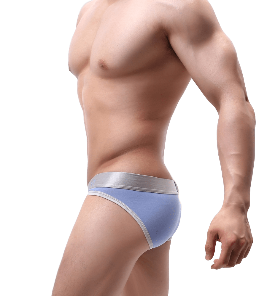 Showstopper Trimmed Briefs | dmunderwear detail image 8