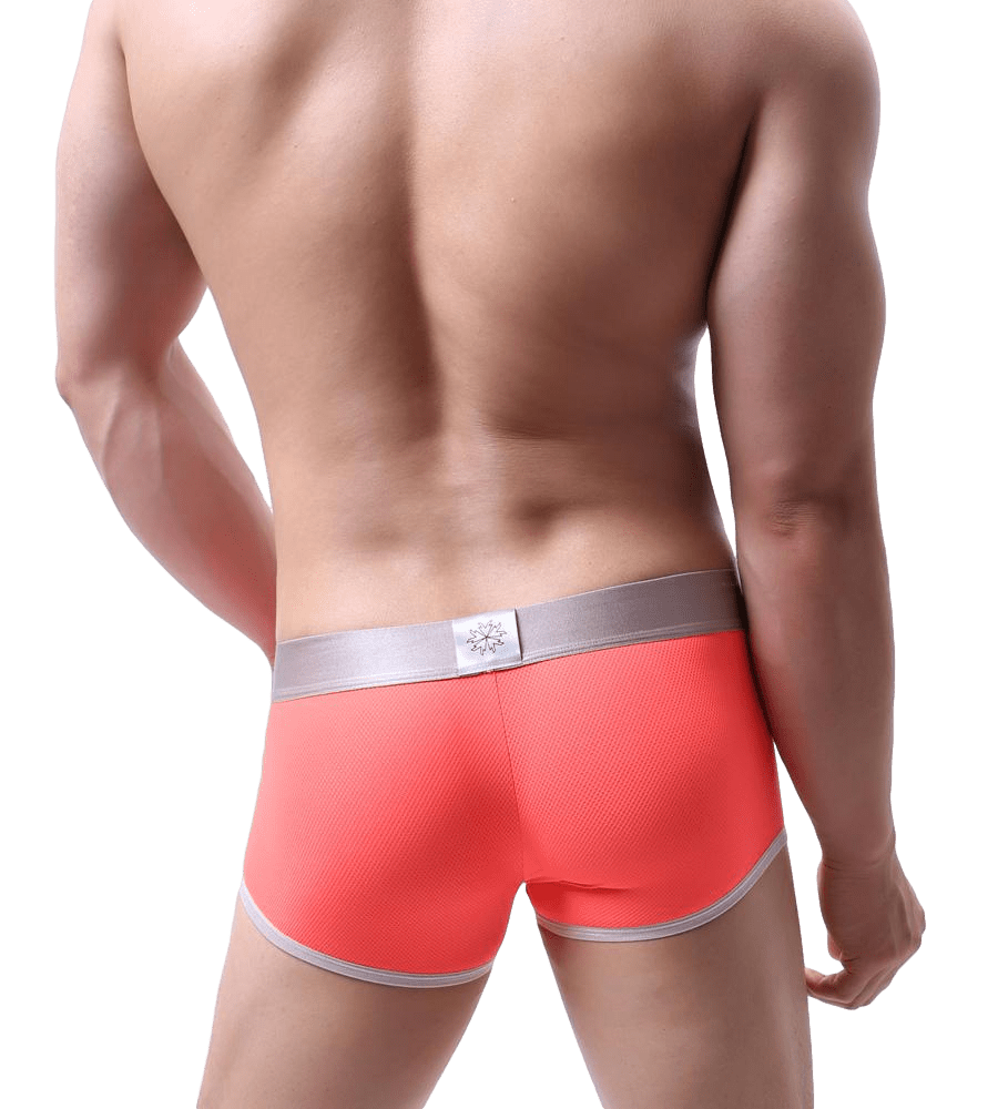 Showstopper Trimmed Trunks | dmunderwear detail image 14