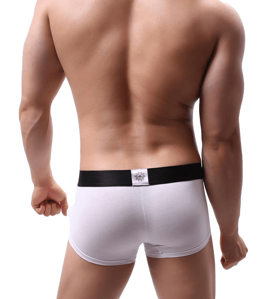 Showstopper Trunks | dmunderwear detail image 13