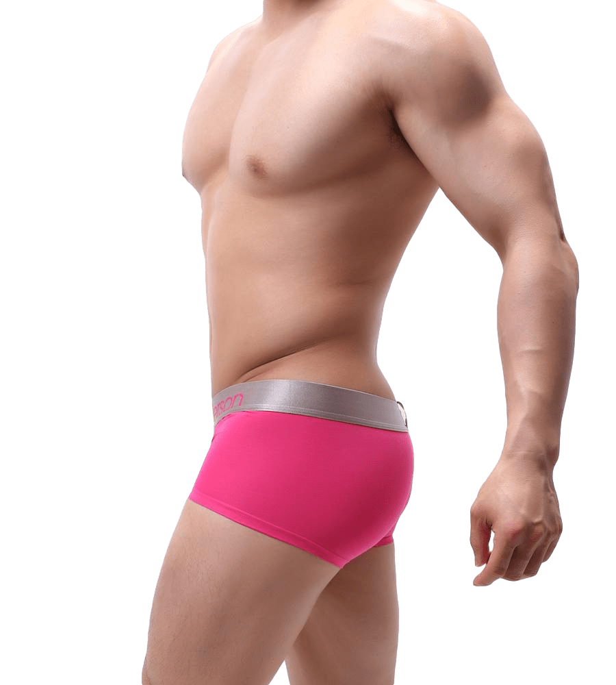 Showstopper Trunks | dmunderwear detail image 3