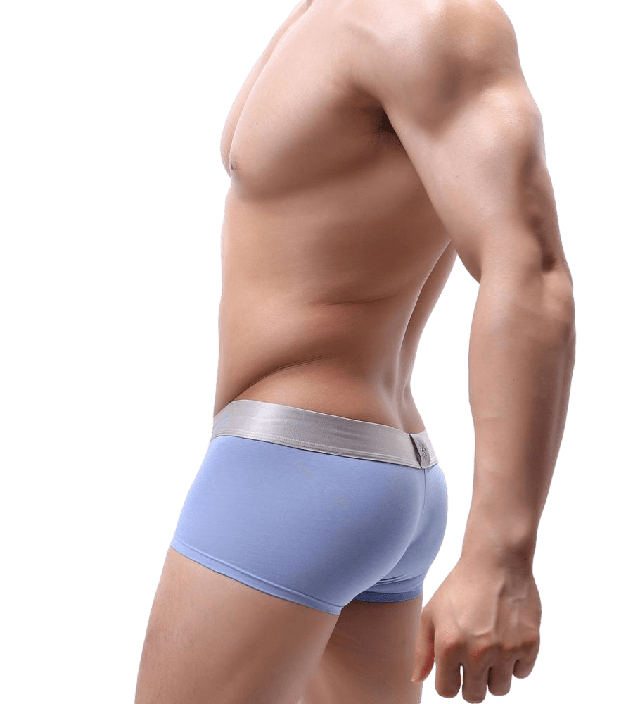 Showstopper Trunks | dmunderwear detail image 5