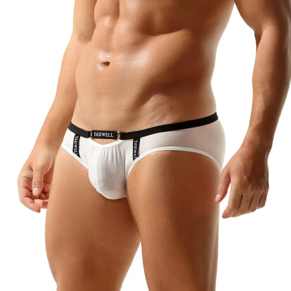 Package Semi-Sheer Briefs | dmunderwear detail image 10