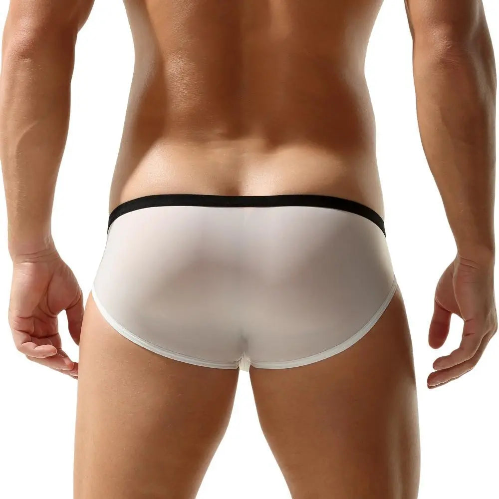 Package Semi-Sheer Briefs | dmunderwear detail image 11