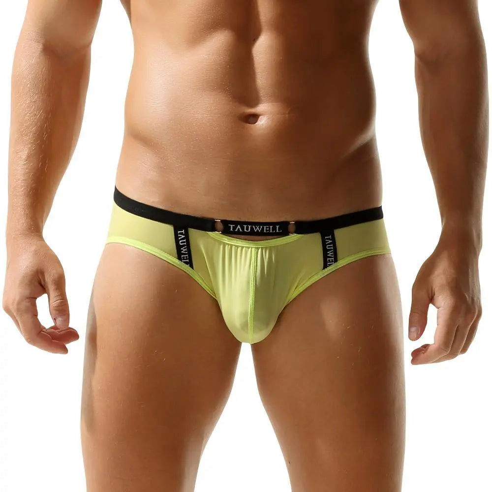 Package Semi-Sheer Briefs | dmunderwear detail image 2