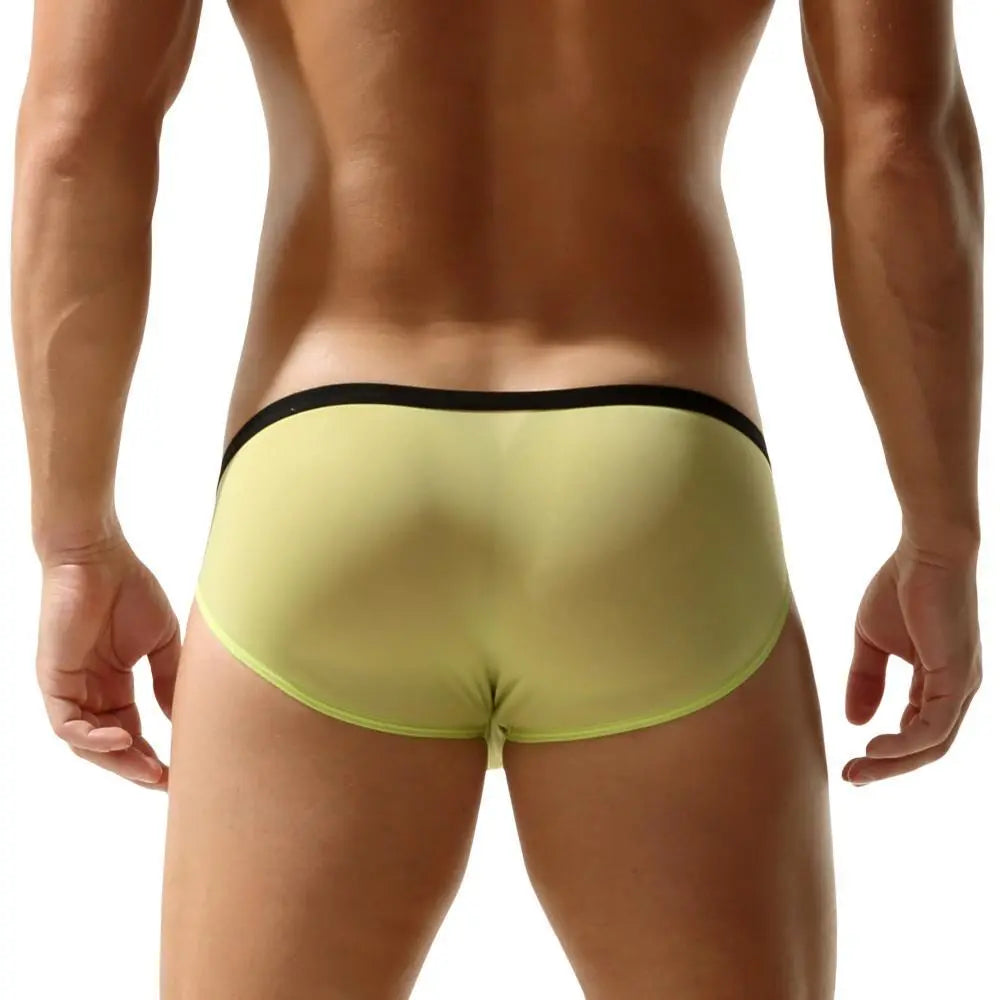 Package Semi-Sheer Briefs | dmunderwear detail image 3
