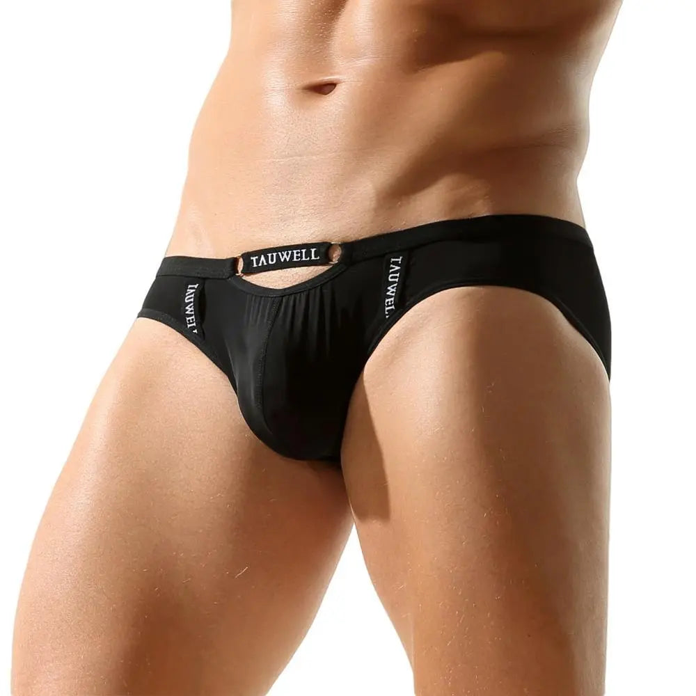 Package Semi-Sheer Briefs | dmunderwear detail image 5