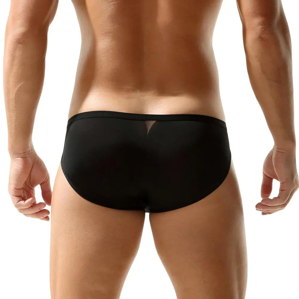 Package Semi-Sheer Briefs | dmunderwear detail image 7