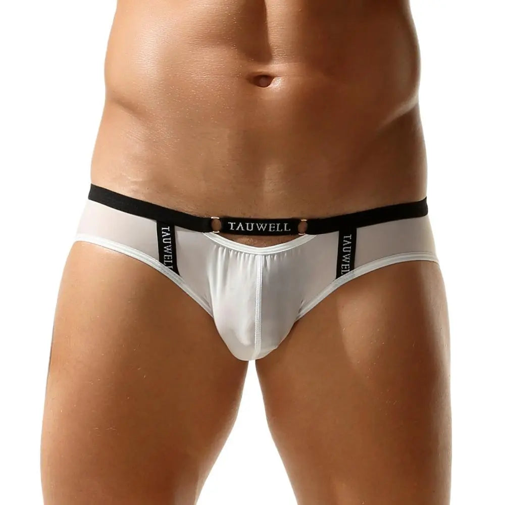 Package Semi-Sheer Briefs | dmunderwear detail image 9