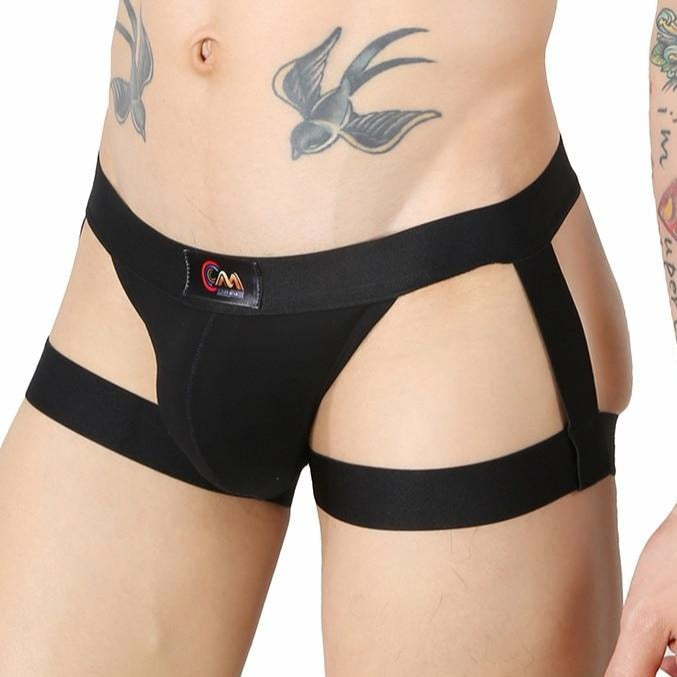 Garter Tanga Briefs | dmunderwear