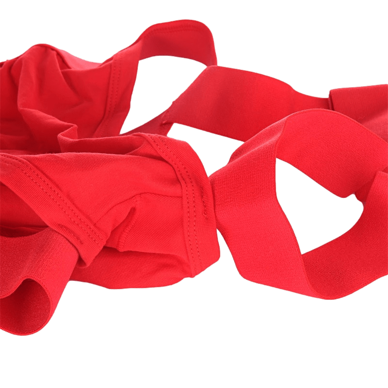 Garter Tanga Briefs | dmunderwear detail image 5