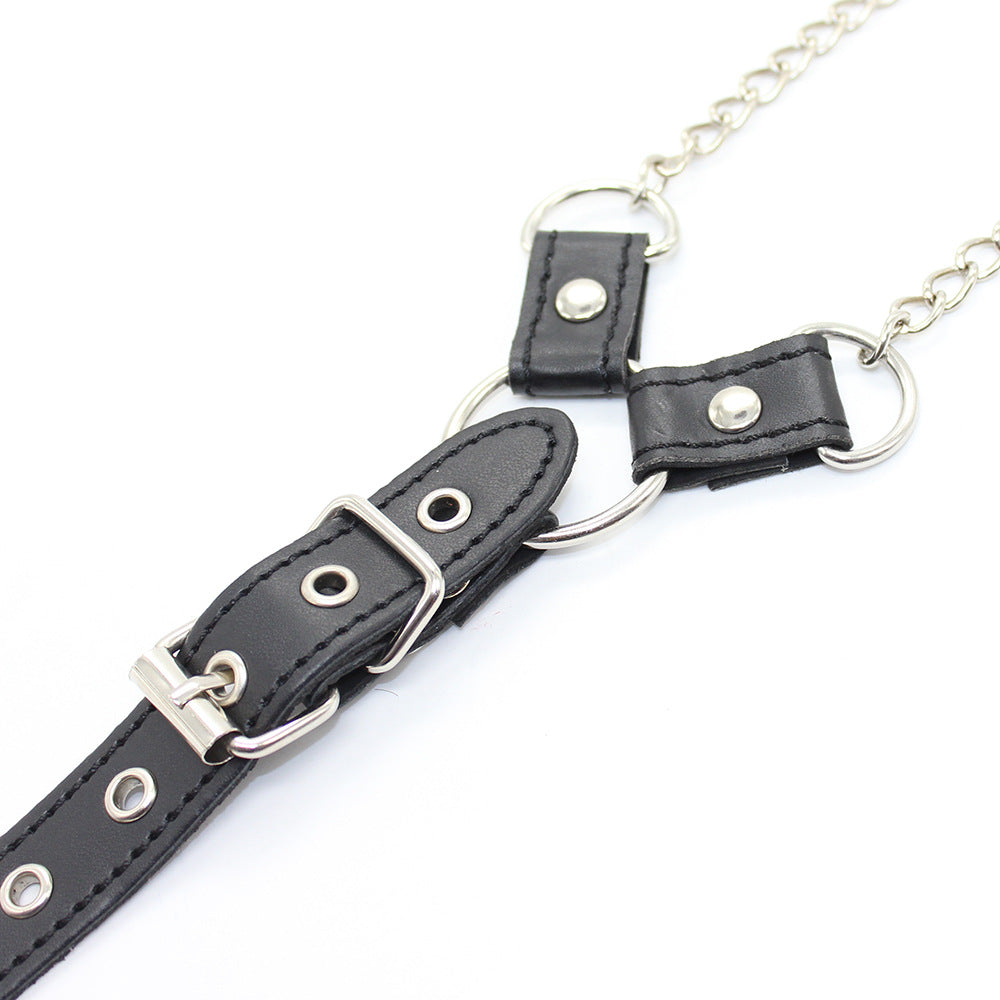 Gay Nipple Clamps With Chain And Cock Ring | dmunderwear detail image 6