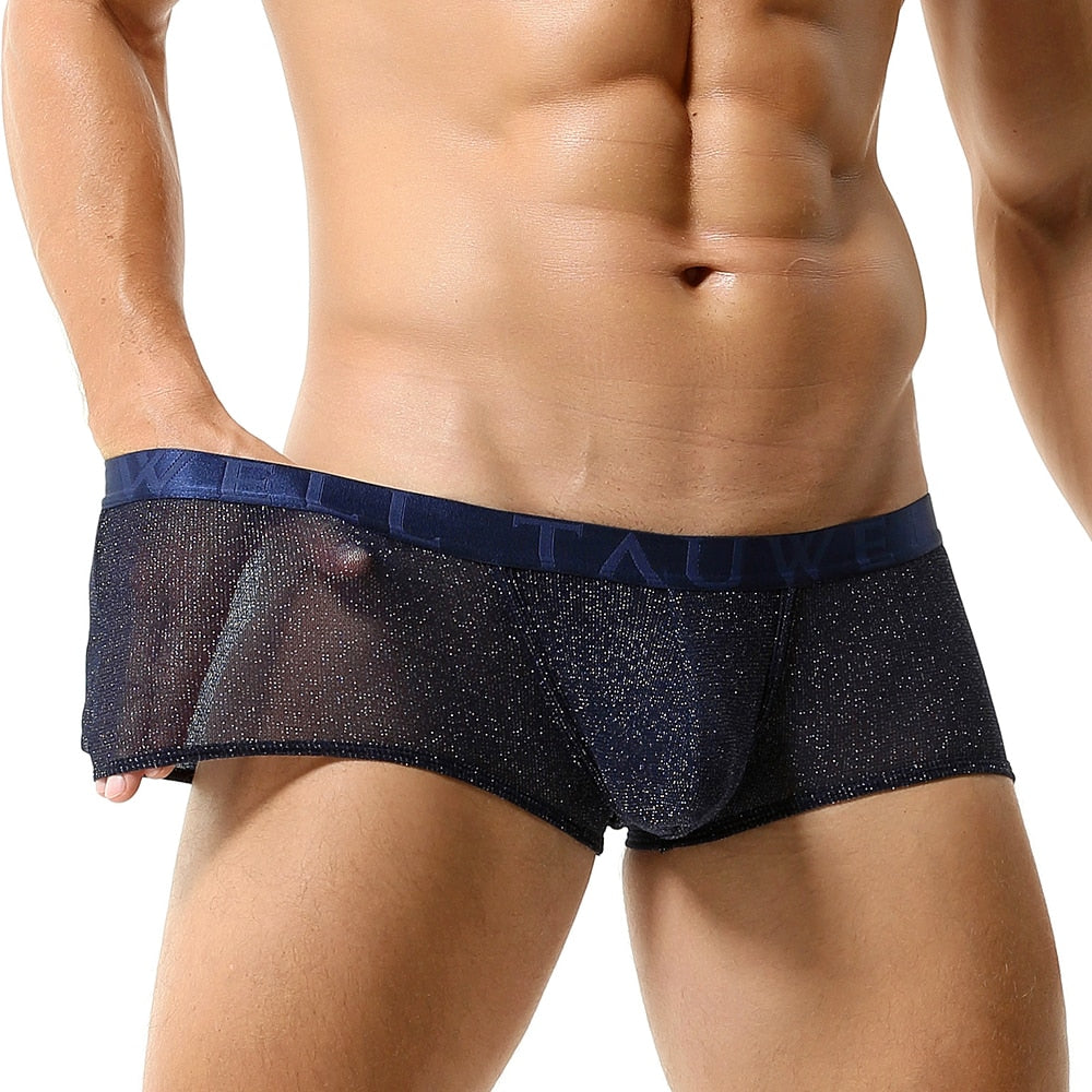 Glimmer Trunks | dmunderwear