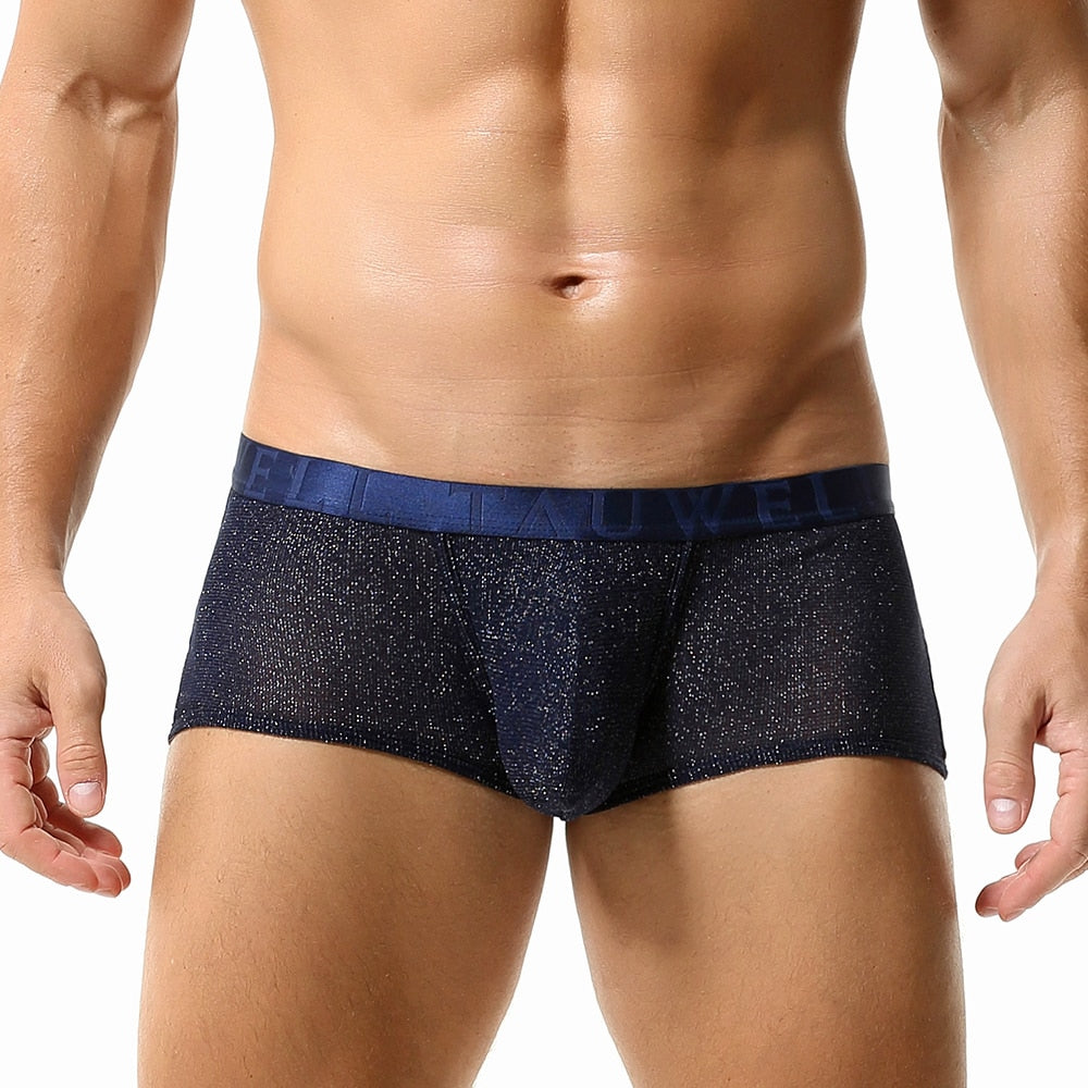 Glimmer Trunks | dmunderwear detail image 2