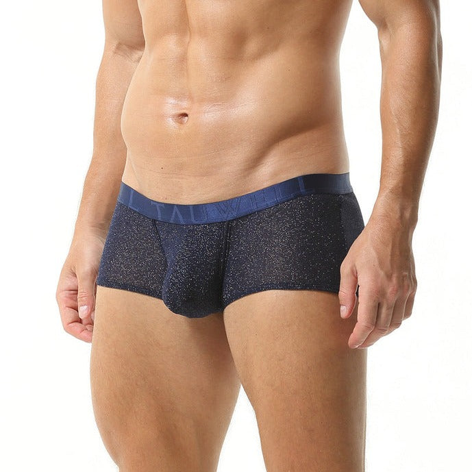 Glimmer Trunks | dmunderwear detail image 3