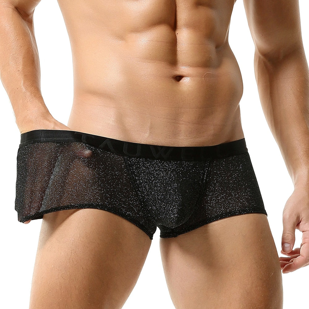Glimmer Trunks | dmunderwear detail image 6