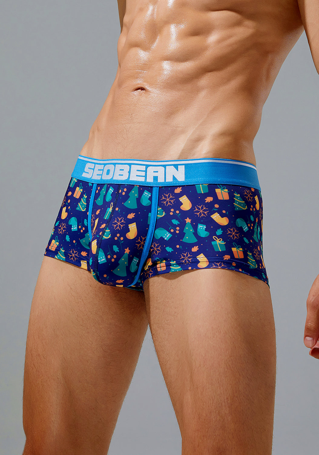 Holiday Boxer Brief 230210 in Blue | dmunderwear detail image 2