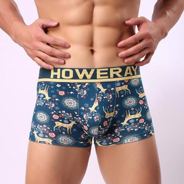 Howe Ray Forest Boxer Briefs | dmunderwear