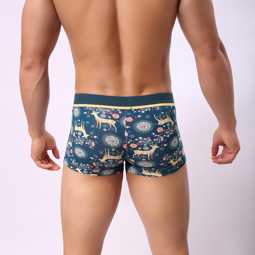 Howe Ray Forest Boxer Briefs | dmunderwear detail image 4