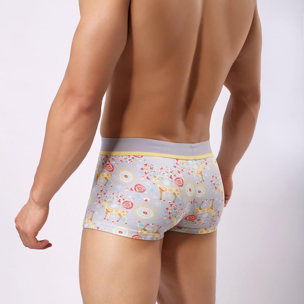 Howe Ray Forest Boxer Briefs | dmunderwear detail image 6