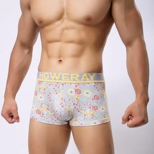 Howe Ray Forest Boxer Briefs | dmunderwear detail image 8